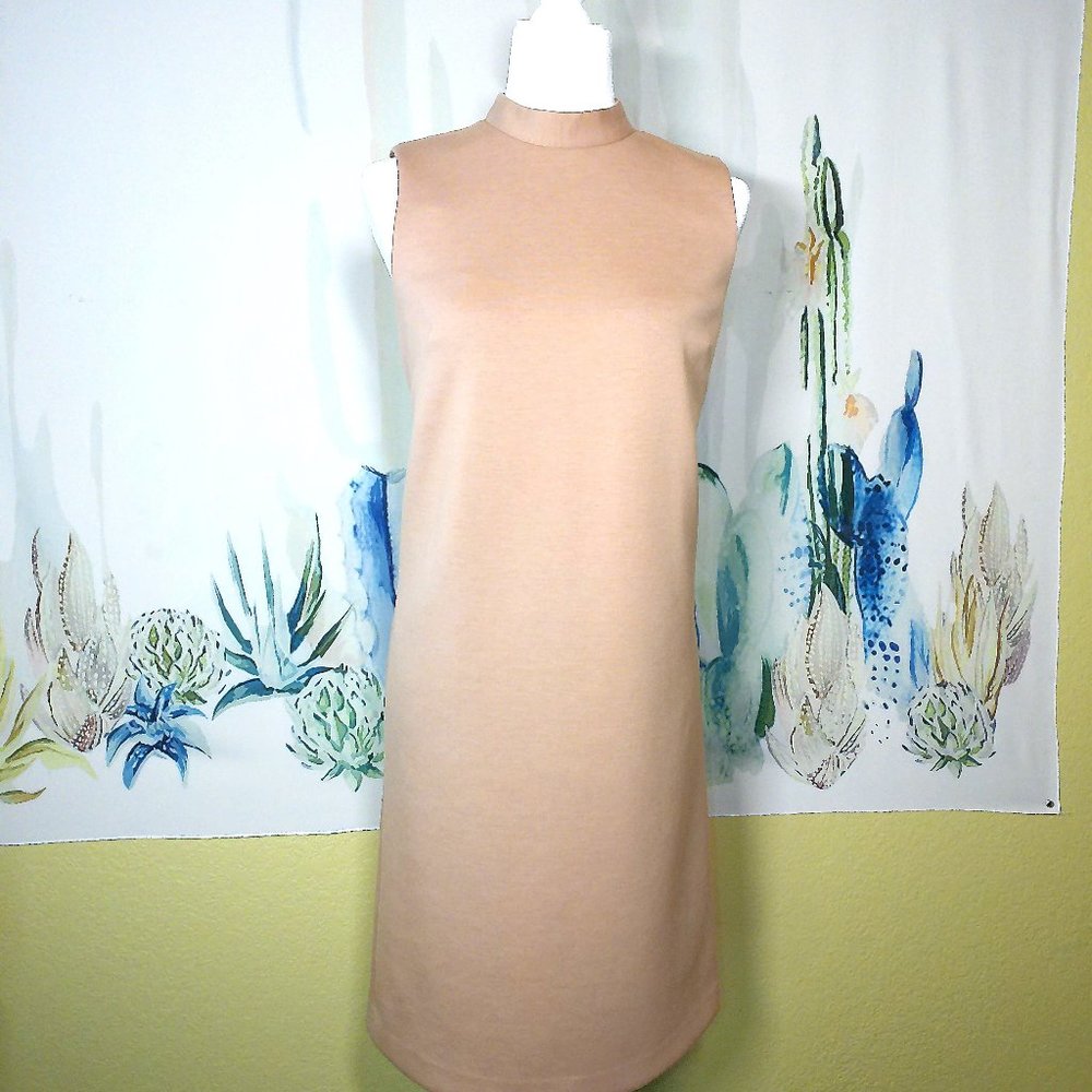 Ann Taylor yummy tan dress